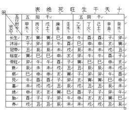 1996 天干地支